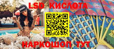 кокс Гатчина