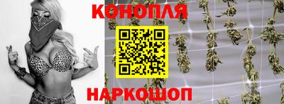 СК Гагарин