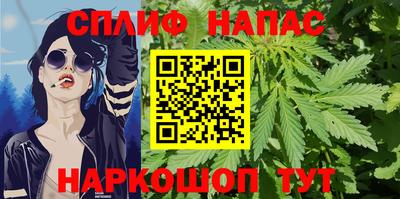 кокс Гатчина