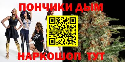 кокс Гатчина