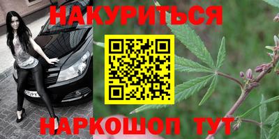 кокс Гатчина