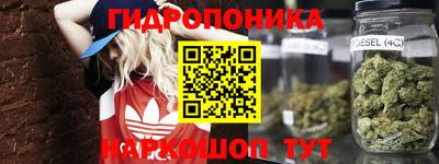 кокс Гатчина