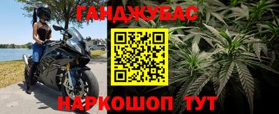 СК Гагарин