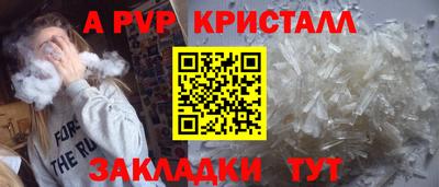 кокс Гатчина