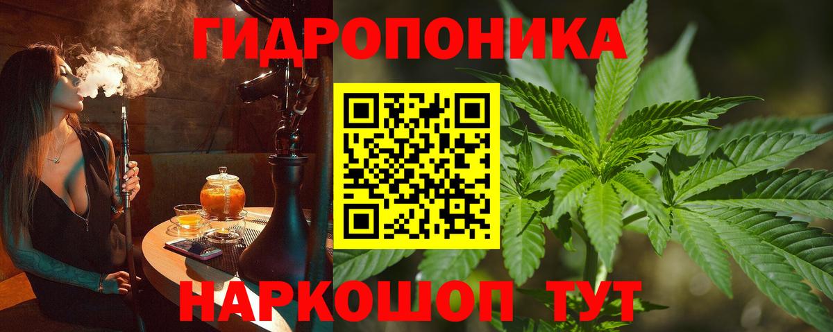 Бошки марихуана гибрид  Конопля Amnesia  Конопля гибрид  Севастополь  Вход с VPN 